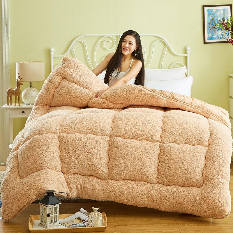 [Send quilt cover] Sherpa velvet winter quilt thickened and warm double-sided falai velvet winter quilt student quilt quilt core